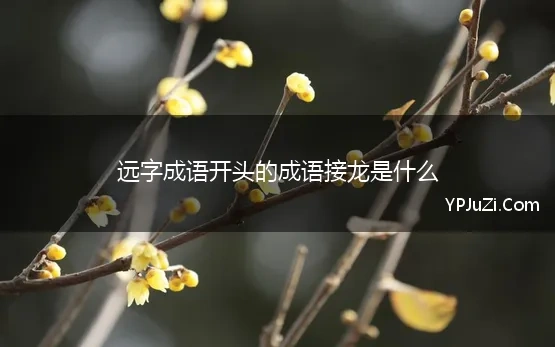 远字成语开头的成语接龙是什么