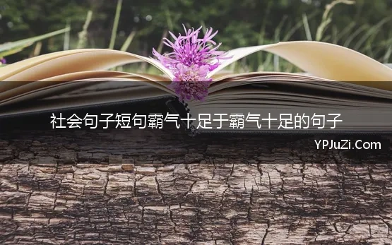 社会句子短句霸气十足4个字