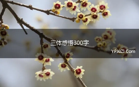 三体感悟300字 《三体》读后感