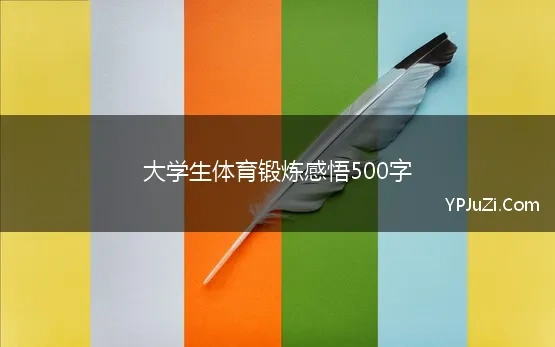 大学生体育锻炼感悟500字