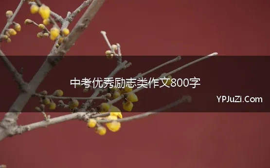 中考优秀励志类作文800字