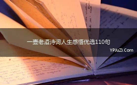 一壶老酒诗词人生感悟优选110句