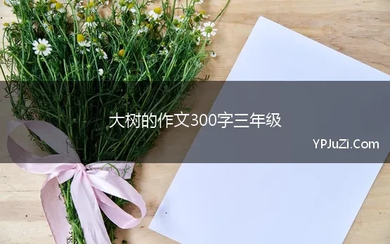 大树的作文300字三年级