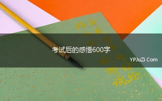 考试后的感悟600字