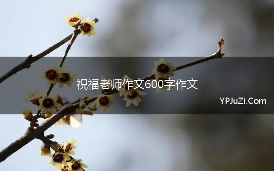 祝福老师作文600字作文