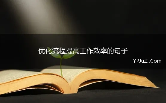 优化流程提高工作效率的句子(高效率办事的经典语录)