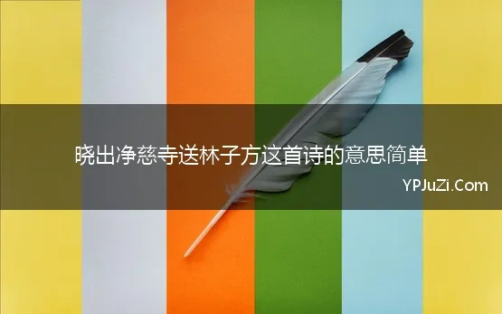 晓出净慈寺送林子方这首诗的意思简单