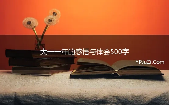 大一一年的感悟与体会500字 大一新生入学感悟