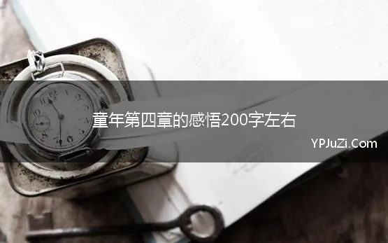 童年第四章的感悟200字左右 童年第四章的读后感