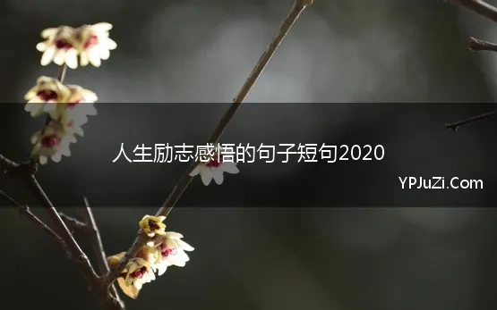 人生励志感悟的句子短句2020