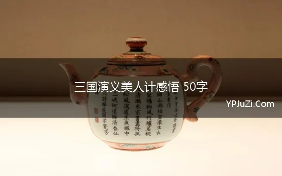 三国演义美人计感悟 50字(三国演义读后感)