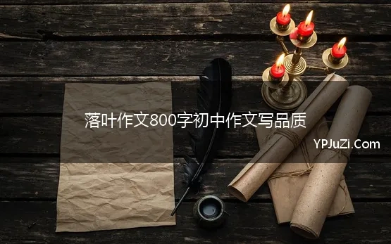 关于落叶的作文800字作文