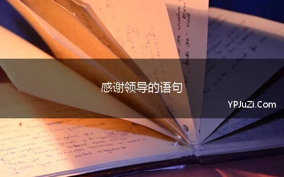 感谢领导的语句(表达感谢领导的话语，精选30句，句句暖心