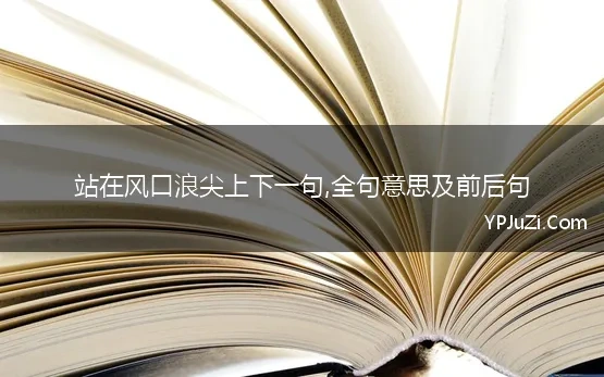 站在风口浪尖上下一句,全句意思及前后句