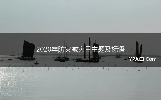 2020年防灾减灾日主题及标语