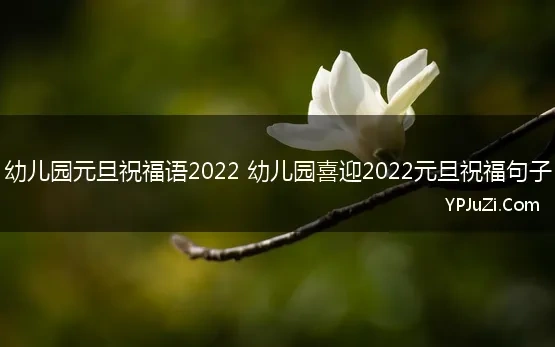 幼儿园元旦祝福语2022最火