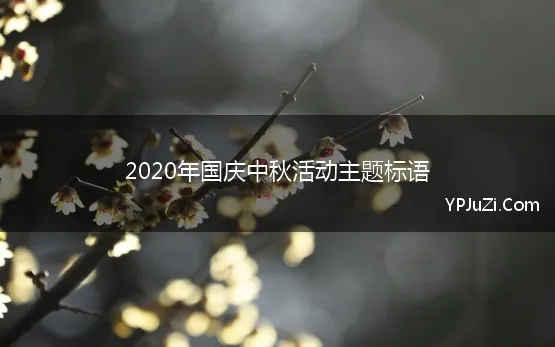 2020年国庆中秋活动主题标语