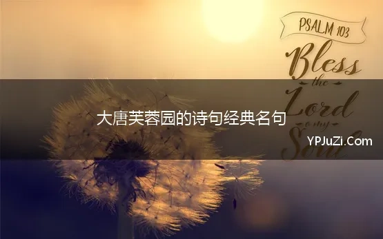 大唐芙蓉园的诗句经典名句(精选咏大唐芙蓉园的诗句)