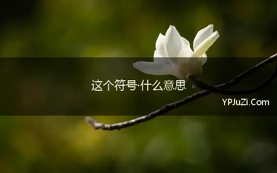 这个符号·什么意思