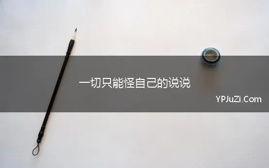 只能怪自己的句子