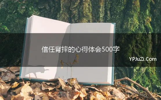 信任背摔的心得体会500字