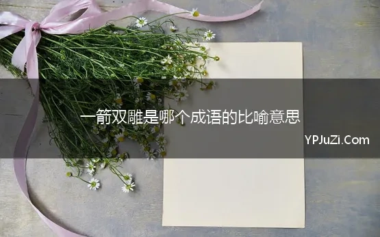 一箭双雕是哪个成语的比喻意思 一箭双雕的意思