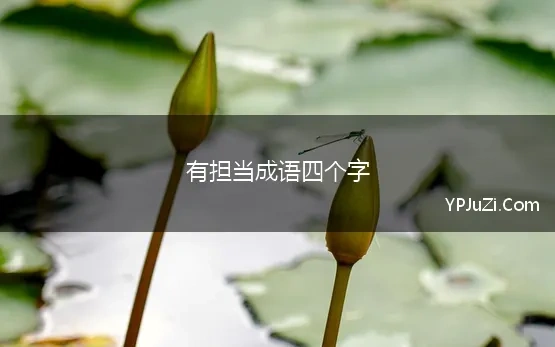 有担当成语四个字