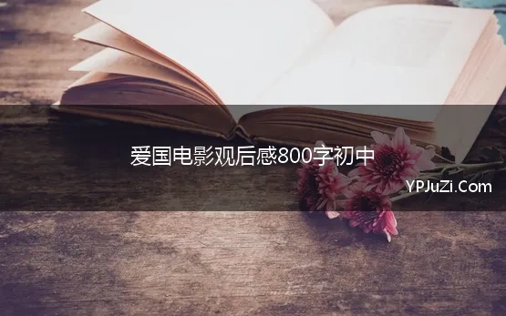 爱国电影观后感800字初中(《长津湖》观后感800字初中)