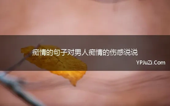 痴情人的句子