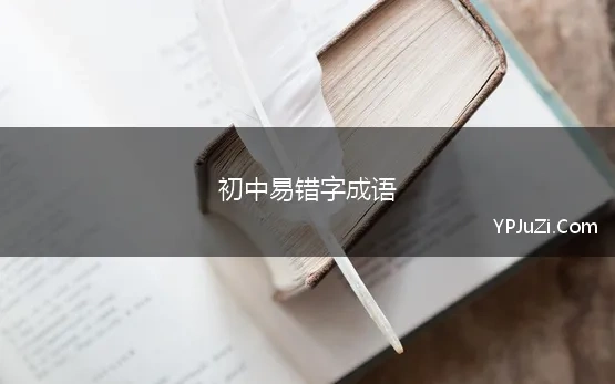 初中易错字成语