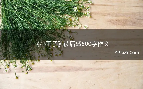 《小王子》读后感500字作文