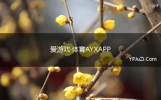 爱游戏·体育AYXAPP