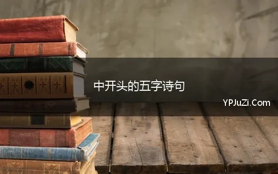 中开头的五字诗句(你开头的五字诗句汇总105句)