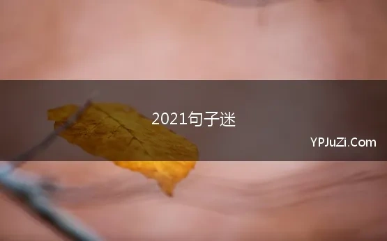 2021句子迷