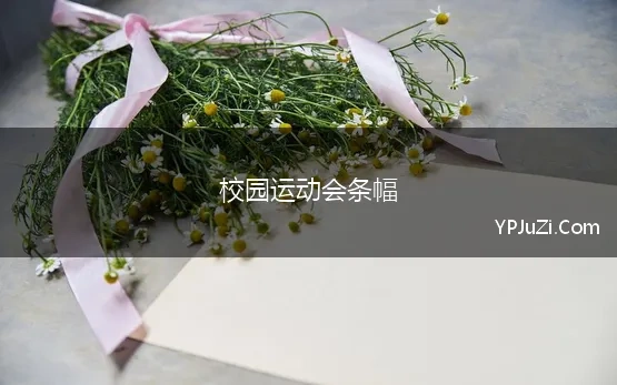 校园运动会条幅(学校运动会条幅标语)