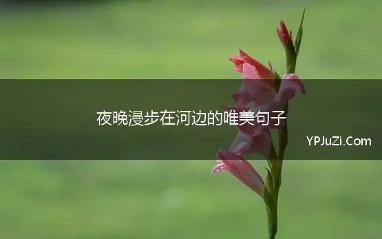 夜晚漫步在河边的唯美句子