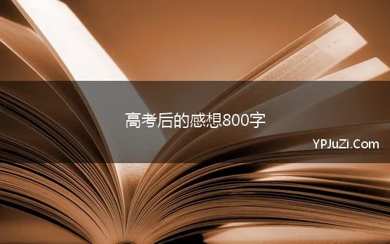 高考后的感想800字