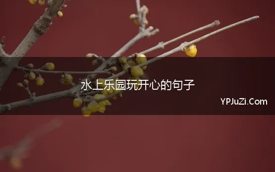 水上乐园好玩的句子英语