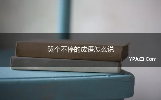 哭个不停的成语怎么说(形容哭个不停的成语)