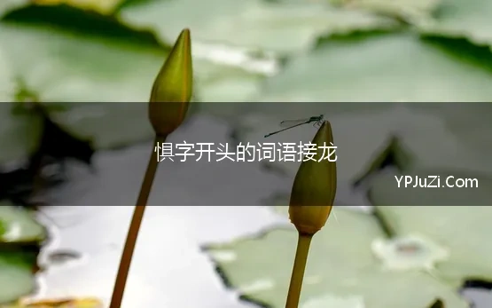 惧字开头的词语接龙