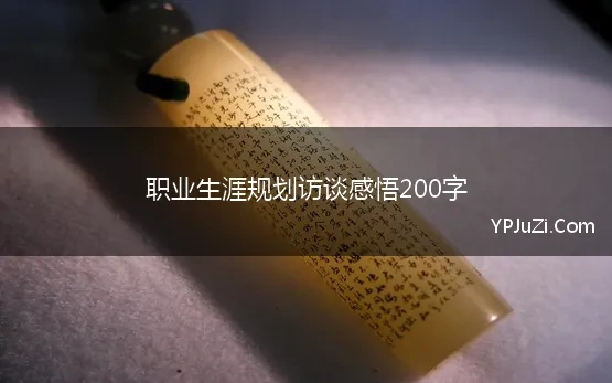 职业生涯规划访谈感悟200字