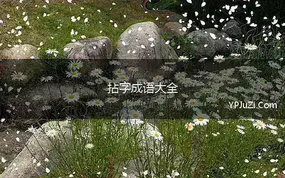 拈字成语大全