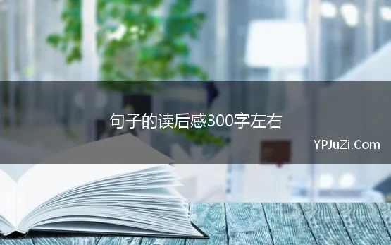 句子的读后感300字左右