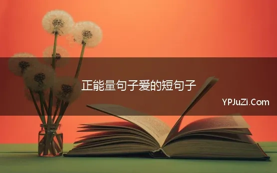 正能量句子爱的短句子