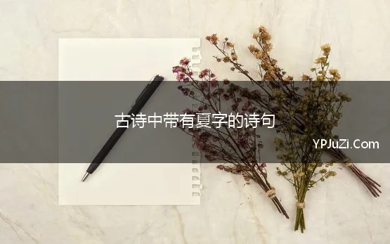 带夏字的两句古诗