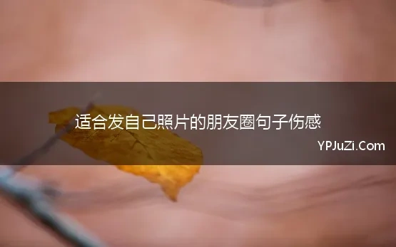 适合发自己照片的朋友圈句子伤感