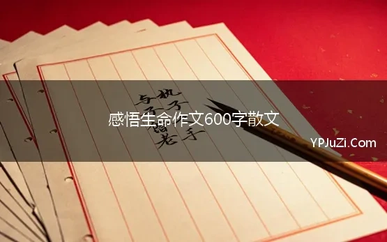 感悟生命作文600字散文