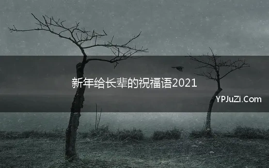 新年给长辈的祝福语2021