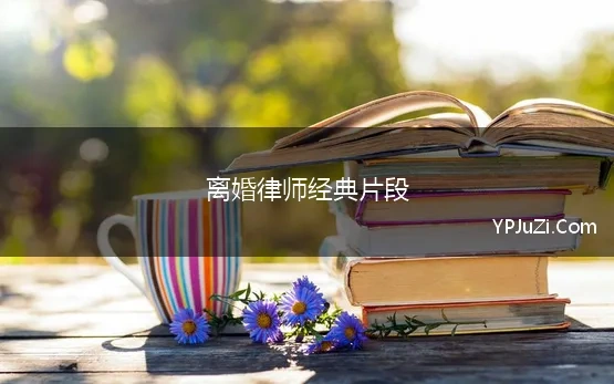 离婚律师经典片段(《离婚律师》经典语句大全)