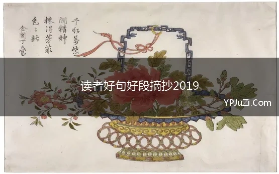 读者好句好段摘抄2019